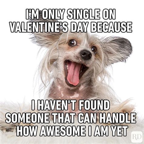 anti san valentin memes|Funny Memes About Valentines Day 2023